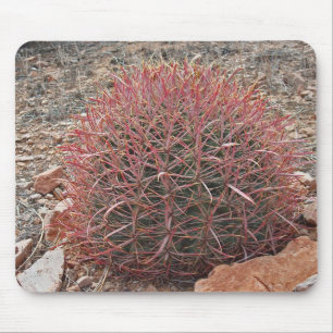 Tapis De Souris Sud-ouest Red Barrel Cactus Photo Arizona Desert
