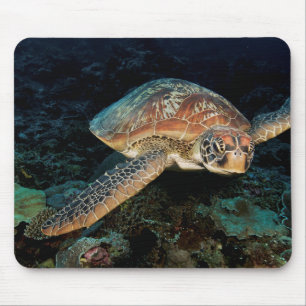 Tapis De Souris Sulawesi Tortue Marine Verte