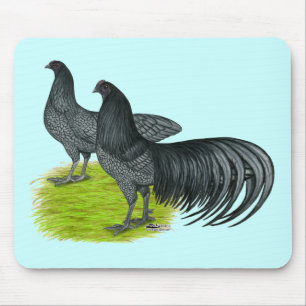 Tapis De Souris Sumatra : Paire bleue