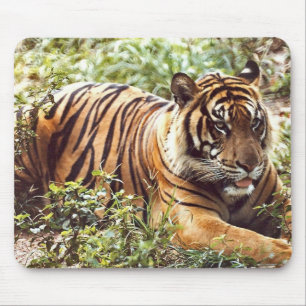 Tapis De Souris sumatran tiger sauvage jungle pavé de souris
