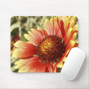 Tapis De Souris Sun a trempé le Gaillardia