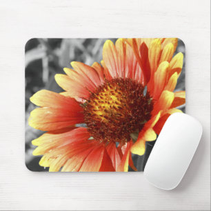 Tapis De Souris Sun a trempé le Gaillardia