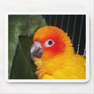 Tapis De Souris Sun Conure