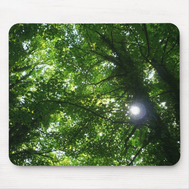 Tapis De Souris Sun dans les arbres (Devant)