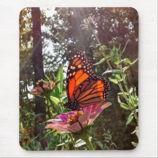 Tapis De Souris Sun Streaming Down sur Monarch sur Flower