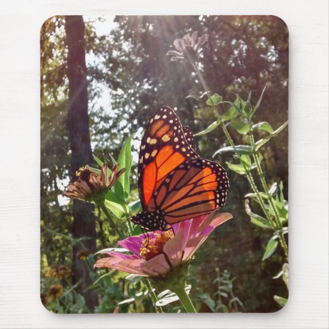 Tapis De Souris Sun Streaming Down sur Monarch sur Flower (Devant)