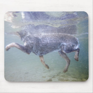 Tapis De Souris Sun Valley, Idaho, États-Unis.