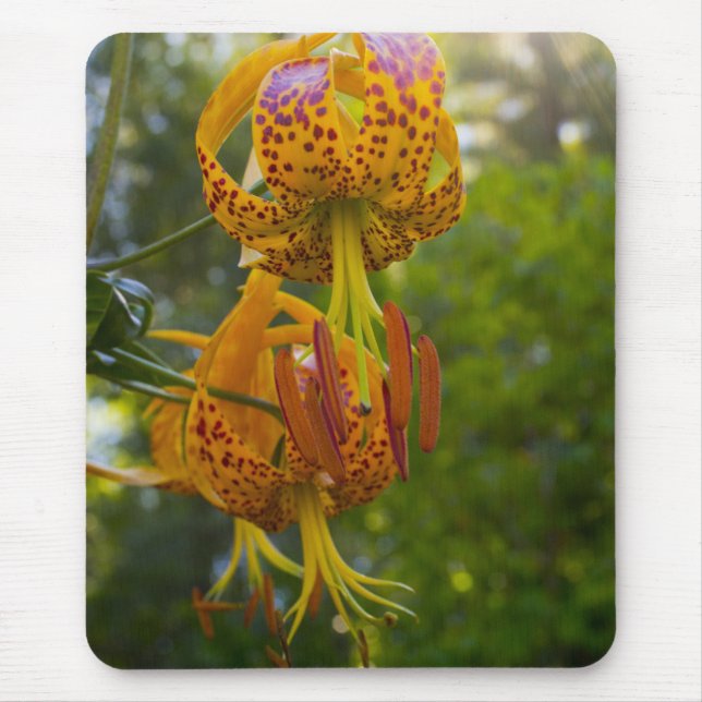 Tapis De Souris Sunburst de Humboldt Lilies (Devant)