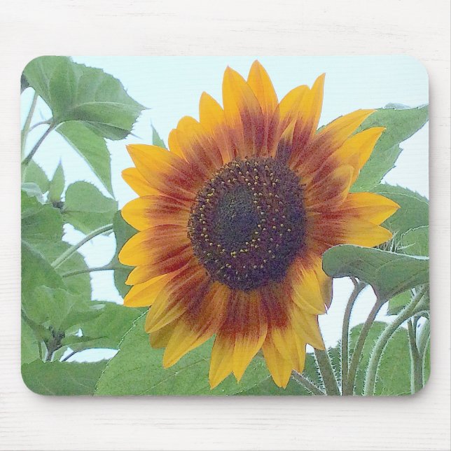 Tapis De Souris Sunflower in a Pale Blue Sky --- (Devant)