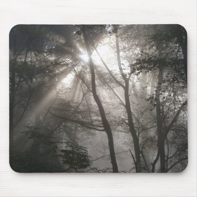 Tapis De Souris Sunlight Through Trees Dark Woodland (Devant)