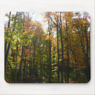Tapis De Souris Sunlit Fall Forest Paysage d'automne