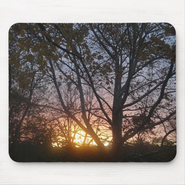 Tapis De Souris Sunrise Sycamore (Devant)