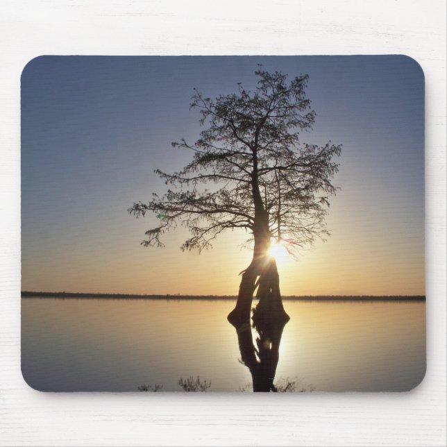 Tapis De Souris Sunset Behind a Tree (Devant)