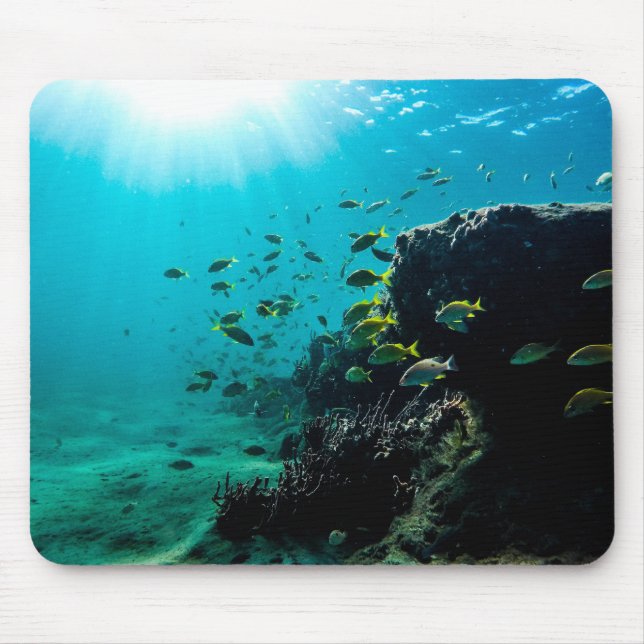 Tapis De Souris Sunshine and Tropical Fish (Devant)