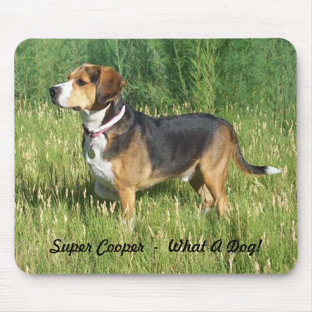 Tapis de souris superbe de beagle de tonnelier (Devant)