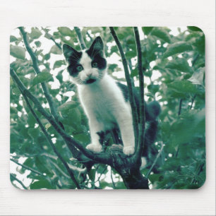 Tapis De Souris Superfluence de la méchanceté