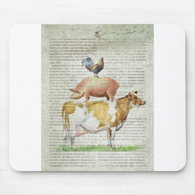 Tapis De Souris Support B1.tif de la ferme NOB11 (Devant)