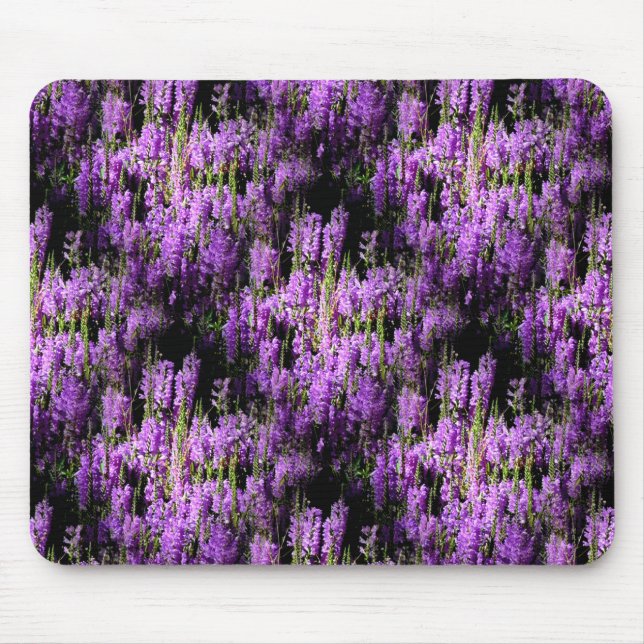Tapis De Souris Sur le terrain... (Devant)