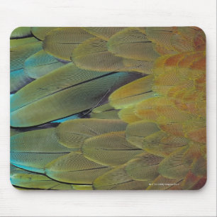Tapis De Souris Surface de la plume