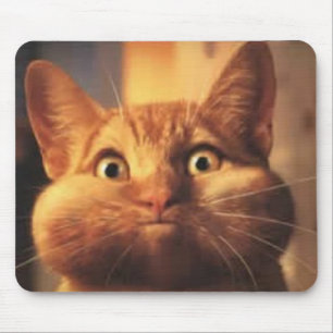 Tapis De Souris Surpris Chat Mousepad
