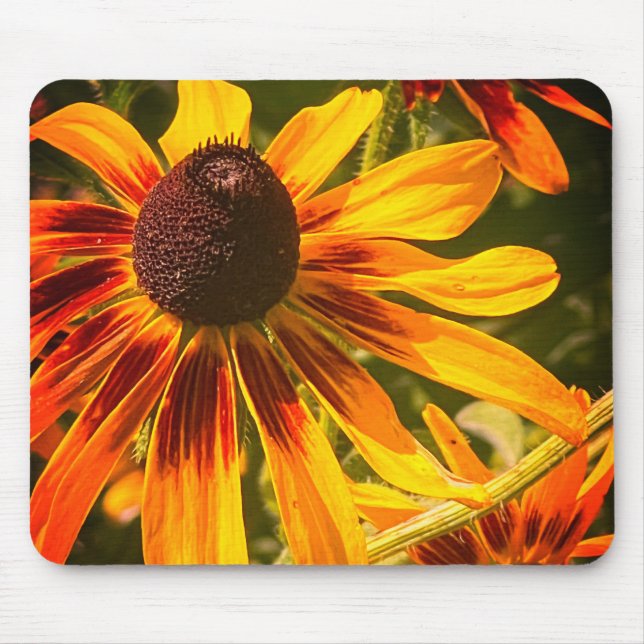 Tapis De Souris "Susan aux yeux noirs" Mousepad (Devant)