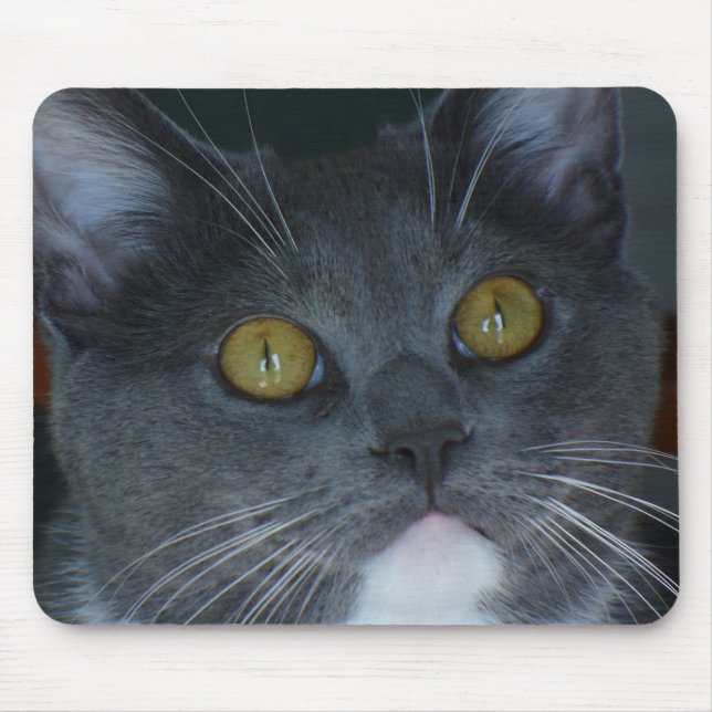 Tapis De Souris Svp (Devant)