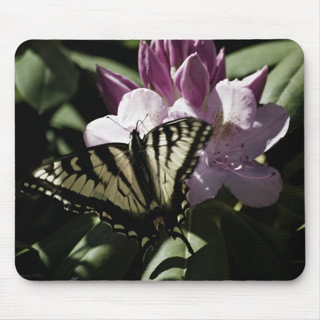 Tapis De Souris Swallowtail & Rhododendron Mousepad (Devant)