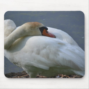 Tapis De Souris Swan