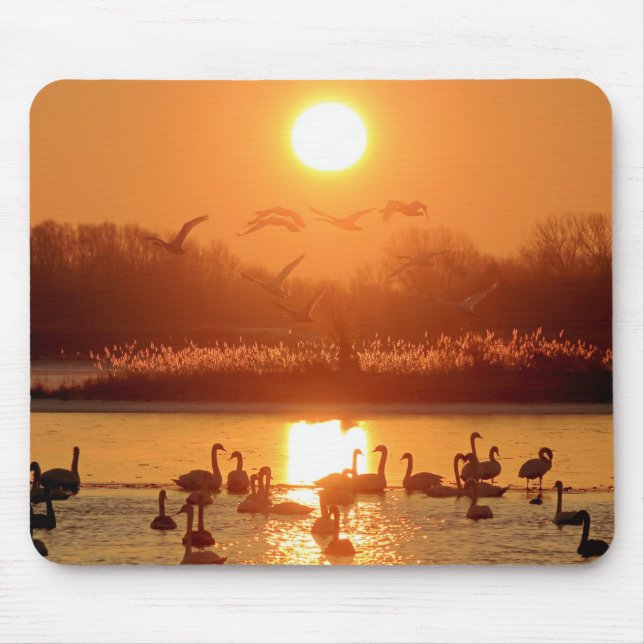 Tapis De Souris Swans dans le lac au coucher du soleil (Devant)