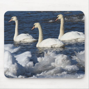 Tapis De Souris Swans in Icey River