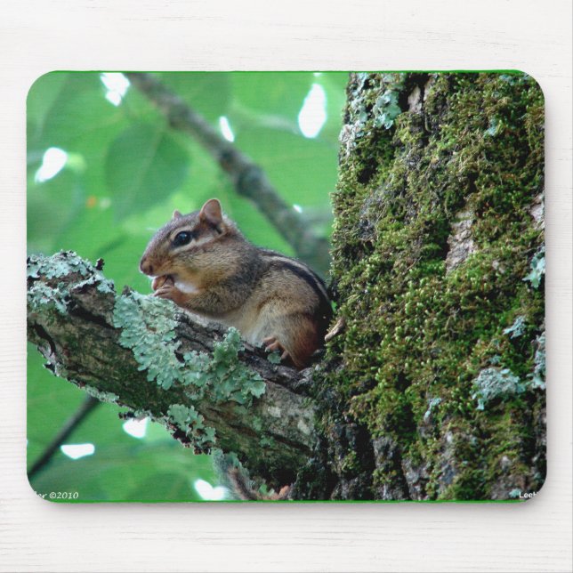 Tapis De Souris Sweet Chipmunk dans un arbre Vêtements et cadeaux (Devant)