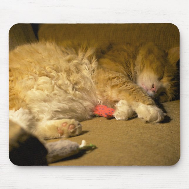 Tapis De Souris Sweet Dreams, Kitty Cat (Devant)