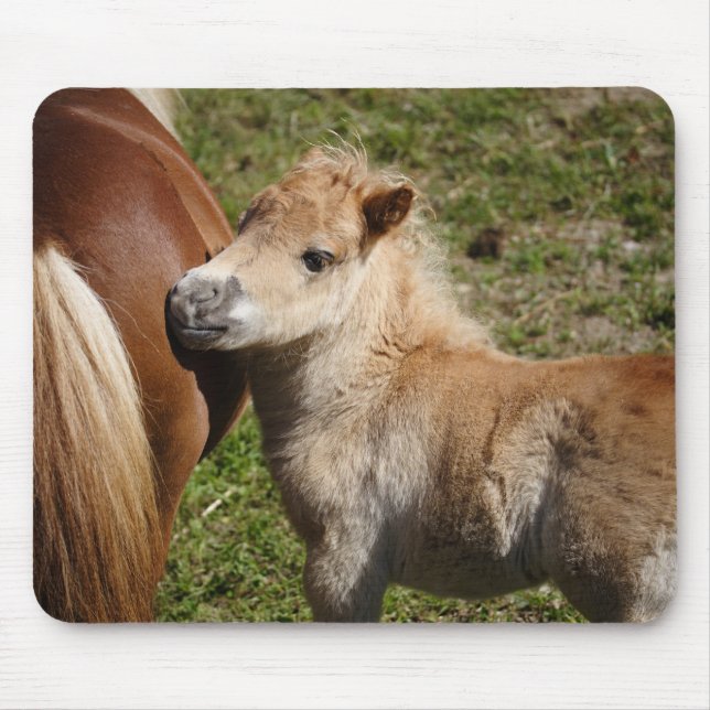 Tapis De Souris Sweet Haflinger Foal (Devant)