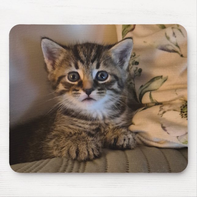 Tapis De Souris Sweet kitty (Devant)