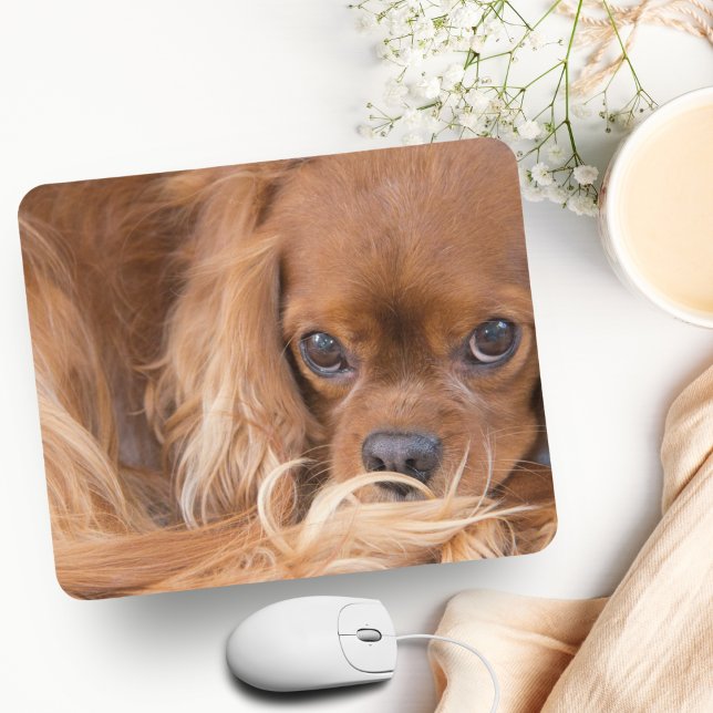Tapis De Souris Sweet Ruby Cavalier King Charles Spaniel (Charming King Charles Spaniel Mousepad: Elevate Your Workspace with Adoration.)