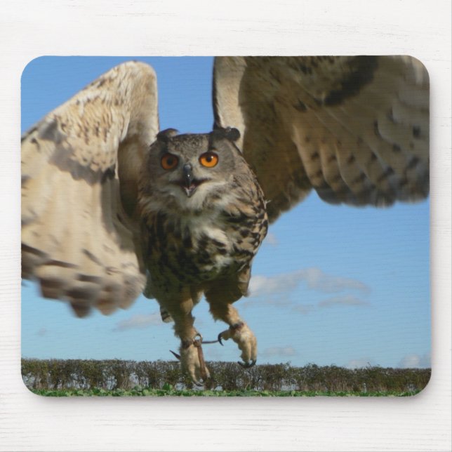 Tapis De Souris Swooping de duc (Devant)