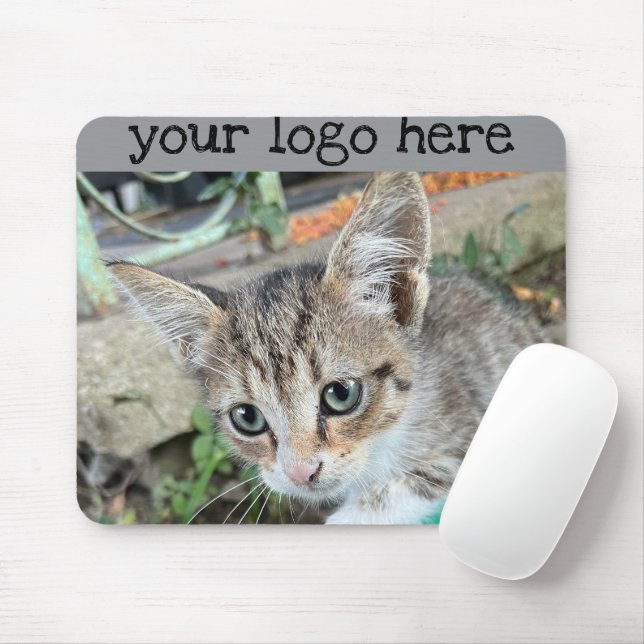 Tapis De Souris Tabby (Avec souris)