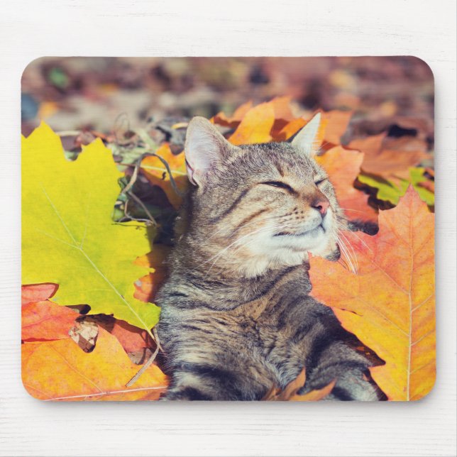 Tapis De Souris Tabby Basking dans le Foliage (Devant)