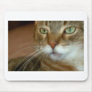 Tapis De Souris Tabby Cat Love