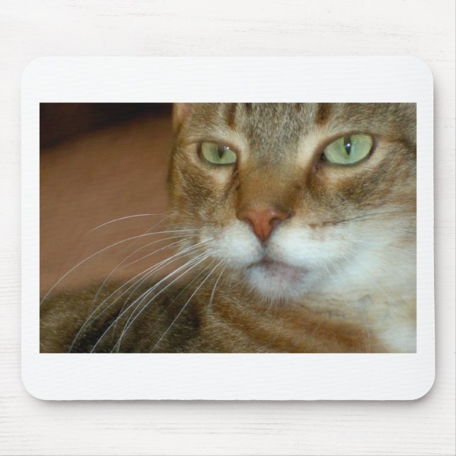 Tapis De Souris Tabby Cat Love (Devant)