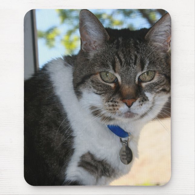Tapis De Souris Tabby Chat avec jolie souris d'yeux (Devant)