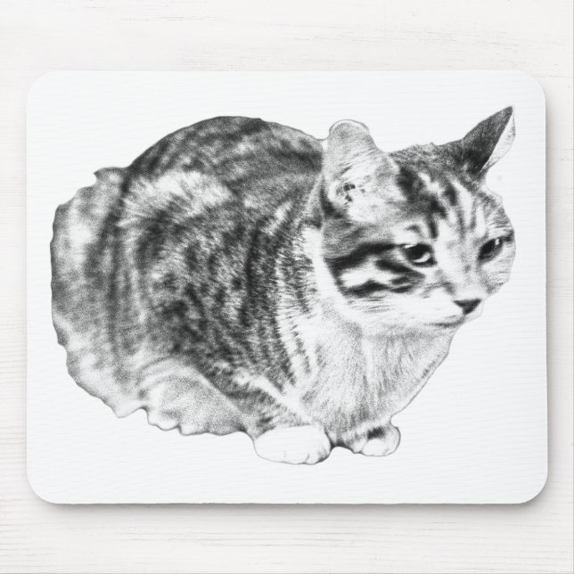 Tapis De Souris Tabby Focalisé, Tons Bureau Velours (Devant)