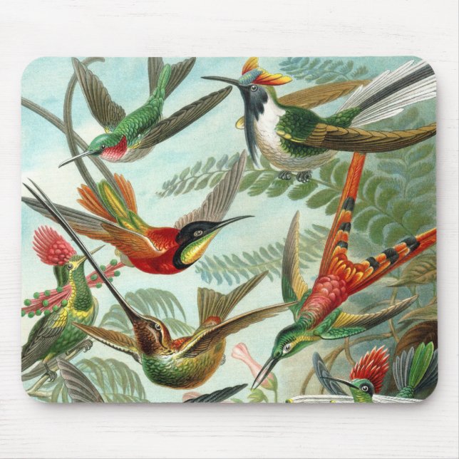Tapis De Souris tableau classique de la faune des oiseaux colibris (Devant)