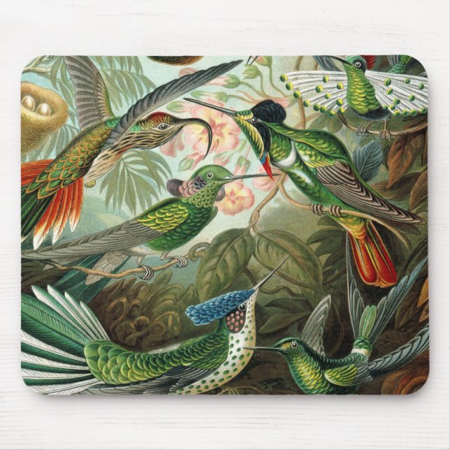 Tapis De Souris tableau classique de la faune des oiseaux colibris (Devant)