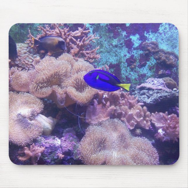 Tapis De Souris Tablette de souris "Blue Hippo Tang Oasis" (Devant)