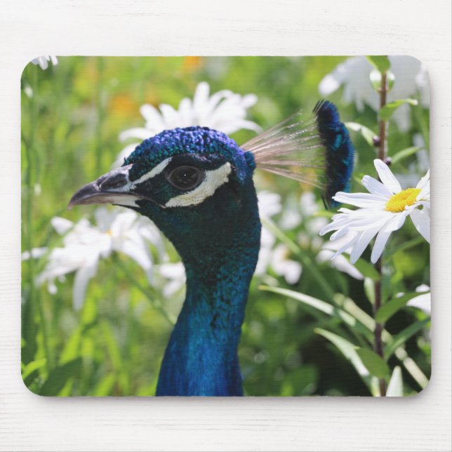 Tapis De Souris Tablette de souris Peacock et Daisy (Devant)