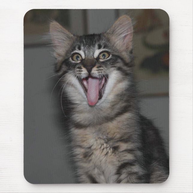 Tapis De Souris Tablette de souris pour chaton (Devant)