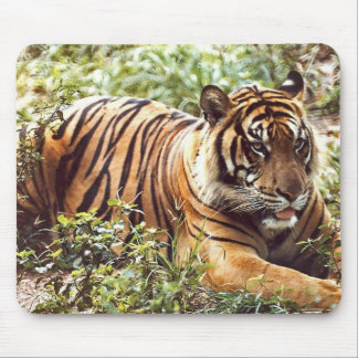Tapis De Souris tablette souris de tigre de sumatran