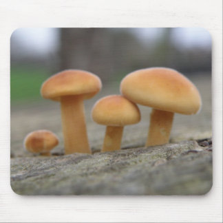 Tapis De Souris Tabourets Tabourets Macro Mousepad