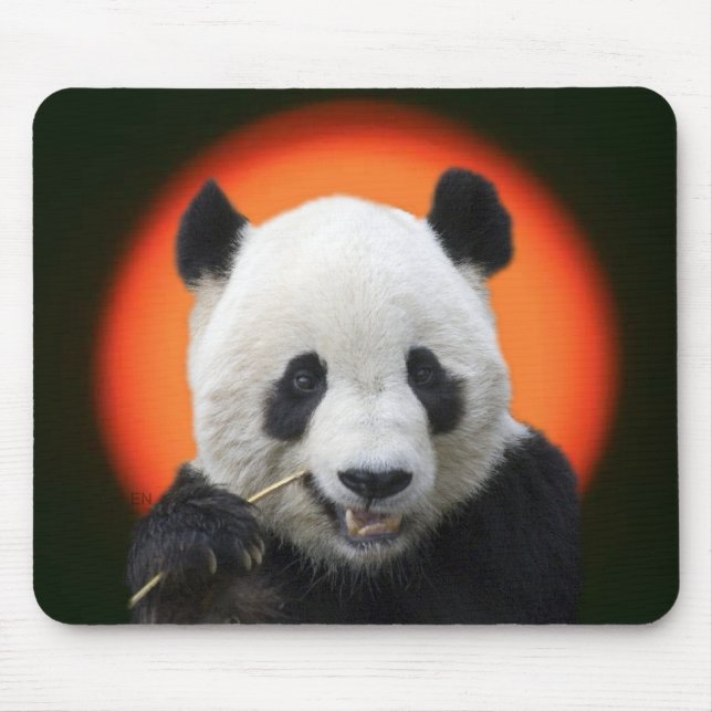 TAPIS DE SOURIS TAI SHAN (Devant)
